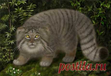 коты с трубкой - 7 700 картинок. Поиск Mail.Ru
