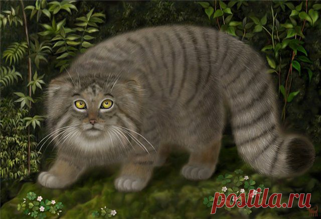 коты с трубкой - 7 700 картинок. Поиск Mail.Ru