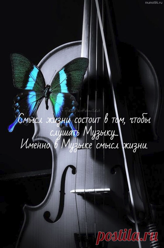 Смысл жизни состоит в том, чтобы слушать Музыку... Именно в Музыке смысл жизни.