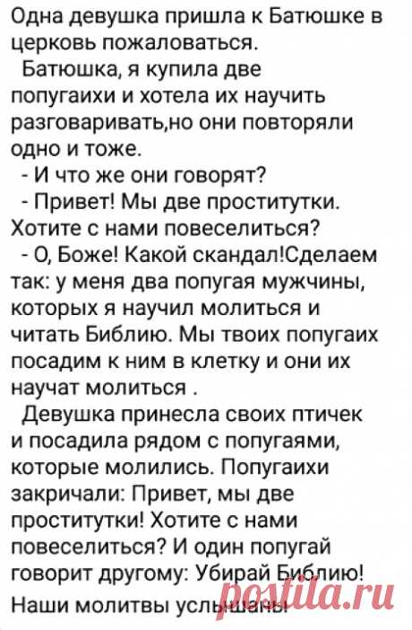 Покупатель, недовольный качеством навоза, так и не смог подобрать подходящего эпитета, чтобы охарактеризовать товар - РЖАКА - медиаплатформа МирТесен