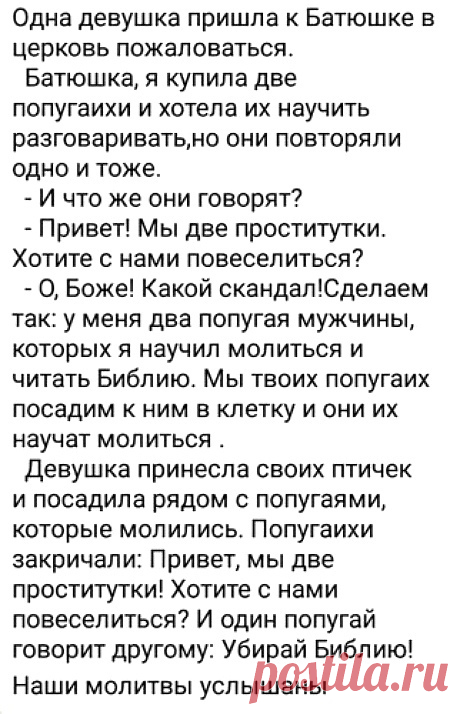 Покупатель, недовольный качеством навоза, так и не смог подобрать подходящего эпитета, чтобы охарактеризовать товар - РЖАКА - медиаплатформа МирТесен