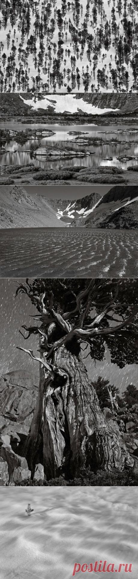 ФотоТелеграф » Дикая территория Ансель Адамс 75 лет спустя
