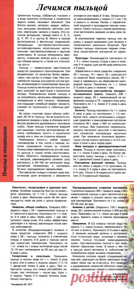 Лечимся пыльцой