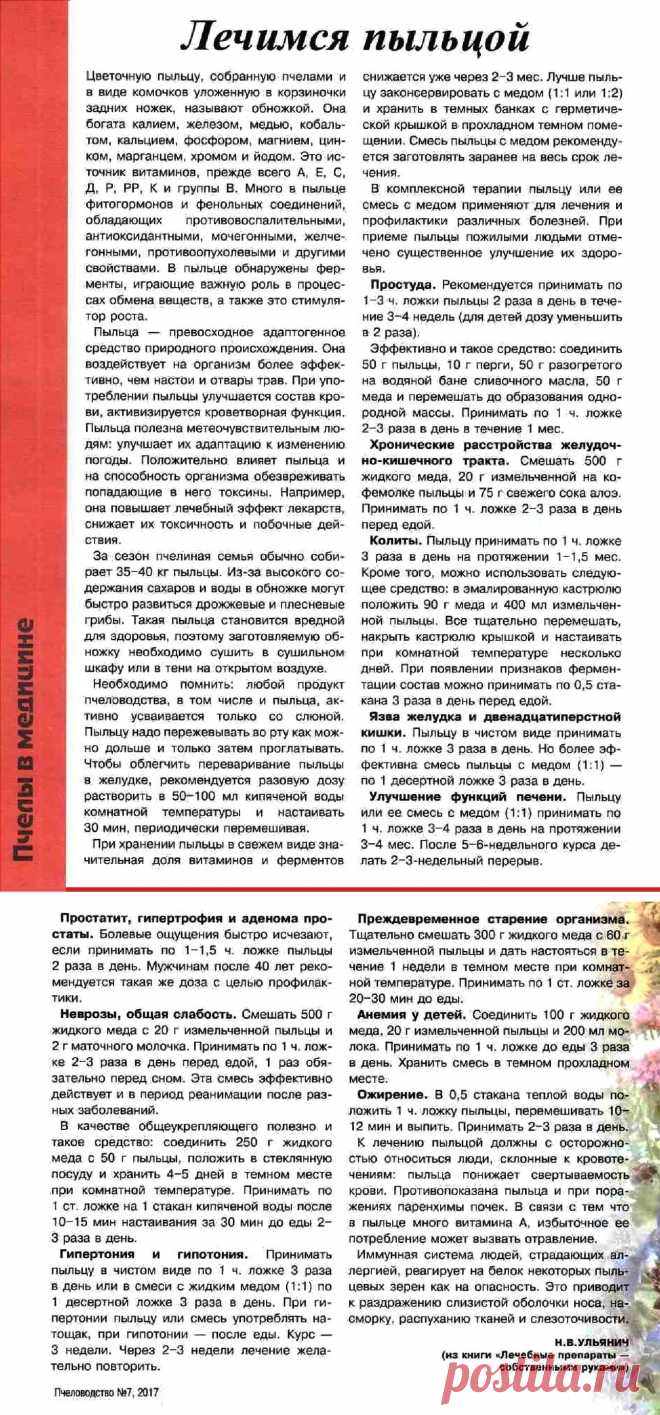 Лечимся пыльцой