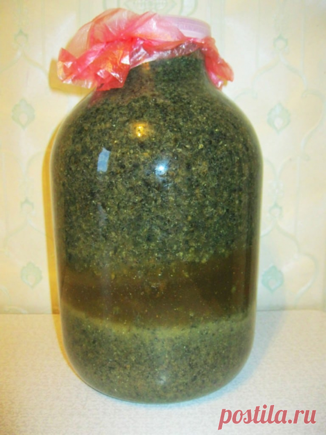 Подмор пчелиный: рецепт и применение настойки на спирту, воде и водке