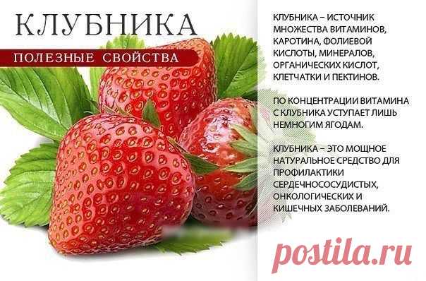 Полезные свойства ягод и фруктов
