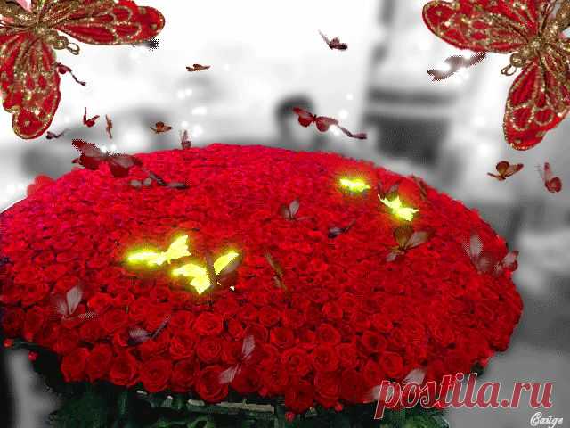 0_e99e4_a6b8d23c_orig (640×480)