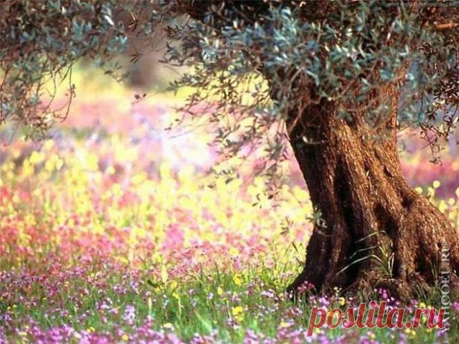 ЗАГОВОРЫ НАРОДНЫЕ ПРИМЕТЫ: Заклинание для наказания врага