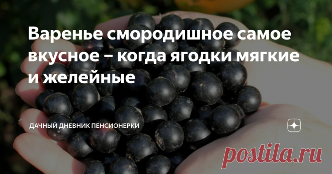 Варенье смородишное самое вкусное – когда ягодки мягкие и желейные Хочу сегодня рассказать о способе варить варенье из смородины так, чтобы было оно вкусное, душистое мягкое.
