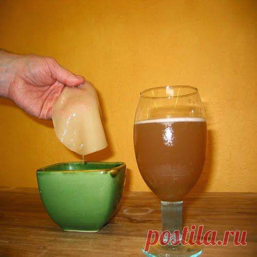 Это чудо – чайный гриб | Друг пенсионера
Хочу рассказать обо всем нам известном чайном гри­бе, поделиться старинными и эффек­тивными рецептами, которые прове­рены неоднократно временем, пере­даются из поколения в поколение.