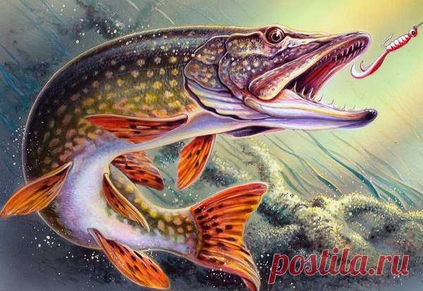 Делаем «вертушку» своими руками, на которую отлично ловится щука и окунь | жерех | Яндекс Дзен