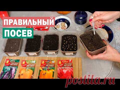 Сезон 2021! Лучший посев перца! Проверенный способ! Будете с урожаем!