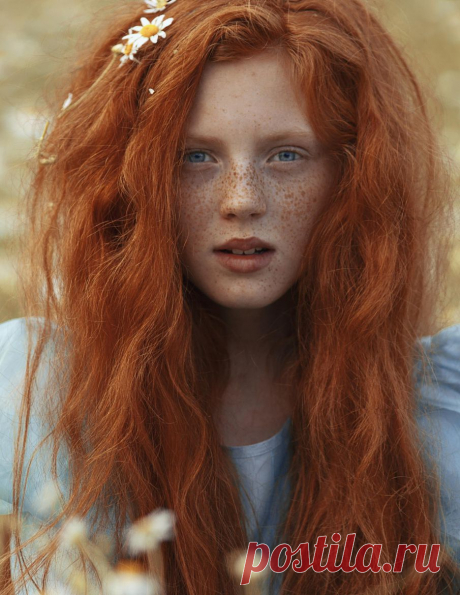 Untitled by Katerina Plotnikova / 500px
