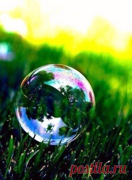 ♥ ЖИВОТНЫЕ ♥ ПРИРОДА ♥