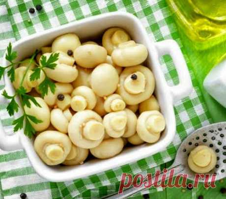 Малосольные шампиньоны на скорую руку — мировой рецептик!