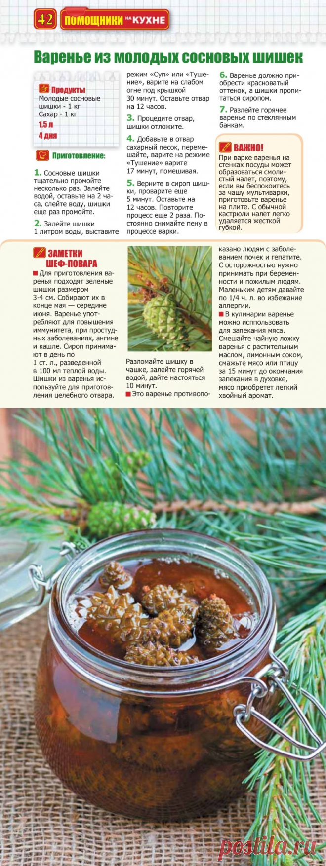 Варенье из молодых сосновых шишек