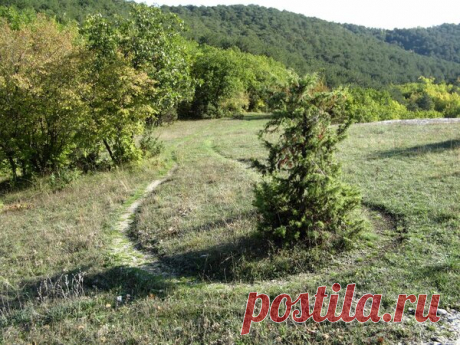 Что не так на этой фотографии? | Крым сегодня | Яндекс Дзен