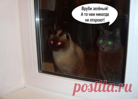 Новые прикольные фотомемы (29 шт)