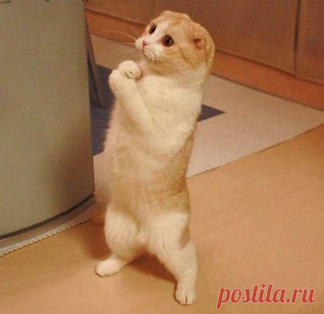 Почему нельзя отвечать 
