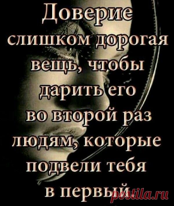 Поговорки, афоризмы и шутки - все любим, все читаем!