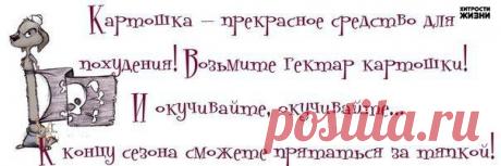 Прикольные фразочки в картинках - ФОТО (03.04.2015)