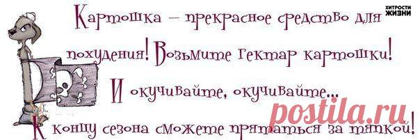 Прикольные фразочки в картинках - ФОТО (03.04.2015)