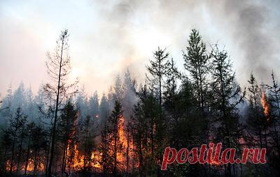 В регионах РФ за сутки ликвидировали лесные пожары на площади 17 га. Специалисты продолжают работы по тушению возгораний на площади 1 505 га в Республике Саха (Якутия), Красноярском крае и Иркутской области. За прошедшие сутки для переброски сил и средств в Красноярский край и Иркутскую область было направлено по два вертолета Ми-8 и самолета Ил-76 МЧС России. В ходе переброски воздушным и морским путем в регионах было перевезено более 500 человек, сообщает пресс-служба МЧС РФ.