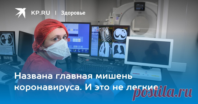 Названа главная мишень коронавируса. И это не легкие Выводы зарубежных исследователей прокомментировал в эфире Радио «Комсомольская правда» директор Санкт-Петербургского НИИ эпидемиологии и микробиологии им. Пастера Арег Тотолян