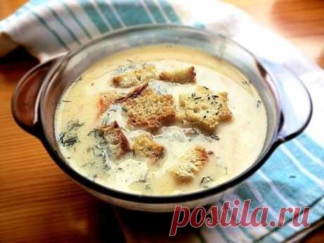 Сырный суп по-французски с курицей.