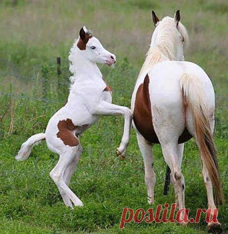 Я буду слушаться, не сердись...