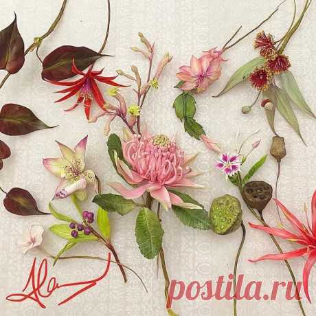 Photo shared by Alan Dunn on November 27, 2020 tagging @apieceofcakeuk. Image may contain: flower and plant.