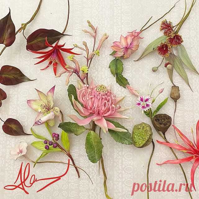Photo shared by Alan Dunn on November 27, 2020 tagging @apieceofcakeuk. Image may contain: flower and plant.