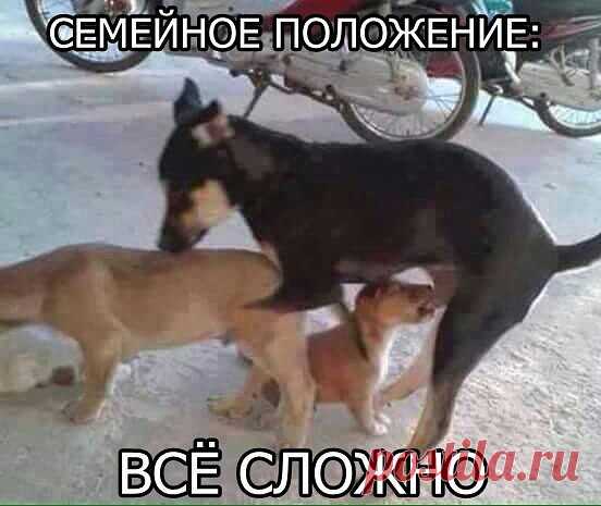 uh.ru | Бугагашки
