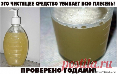Чистящее средство от плесени своими руками!