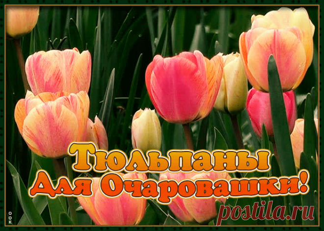 Красивая открытка с тюльпанами