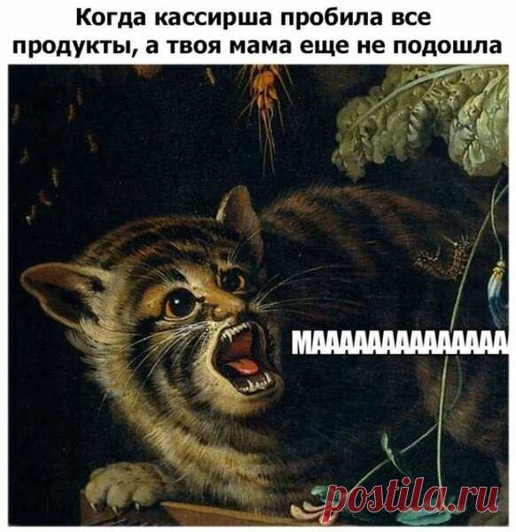 4 мема с котиками: откуда они взялись и что ещё нарисовали авторы этих весёлых картинок | Арт с котом | Яндекс Дзен