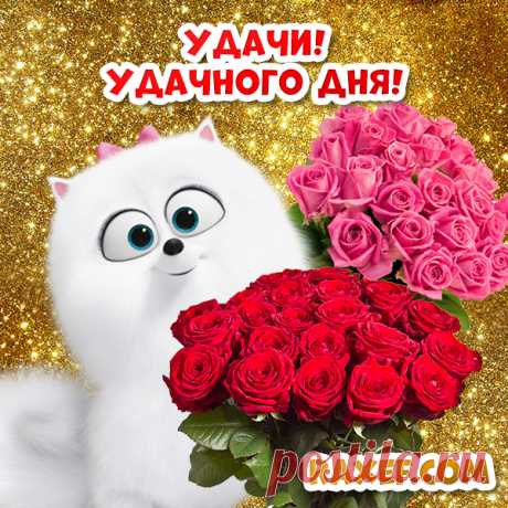 Удачи! Удачного дня, открытки и пожелания удачи! Даже если вы делали все неправильно до сих пор, у...  - Я не понимаю, - сказал я, - что вы имеете в виду.   Он посмотрел на меня и сказал:   - Послушайте, я знаю вас. Я знаю, кто вы такой. Вы - тот, за кого себя выдаете. И я думаю, что вы - хороший человек, хотя и не слишком-то умный. Я думаю, вы не такой человек, который может причинить кому-нибудь вред. И если бы вы могли это сделать, то, конечно же, сделали бы это, но вы не можете. Так что не…