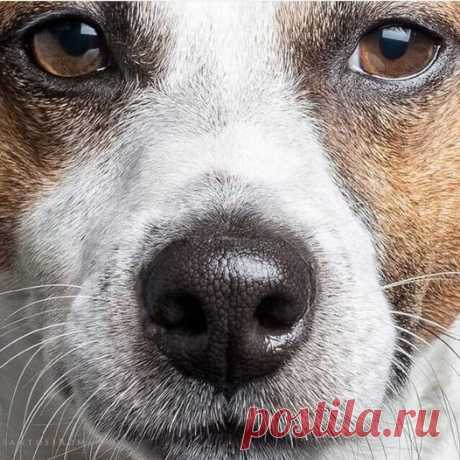 ПРИТЧА – Тепло людских сердец, пользователь Любовь Платко | Группы Мой Мир