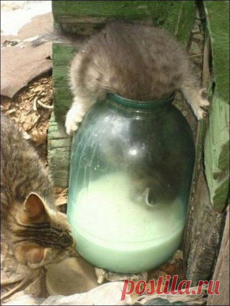 Новости