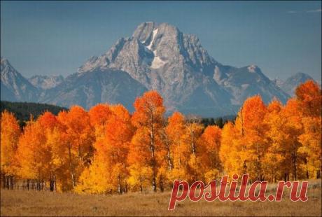 Красивая осень (44 фото) &amp;raquo; Триникси
