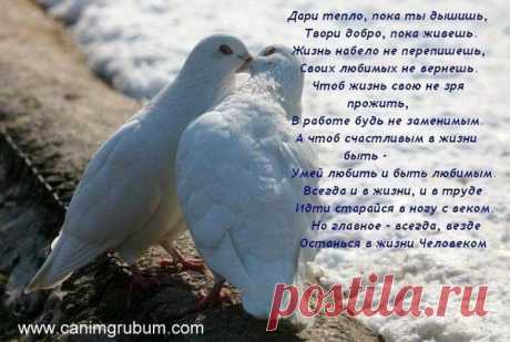 Дари тепло