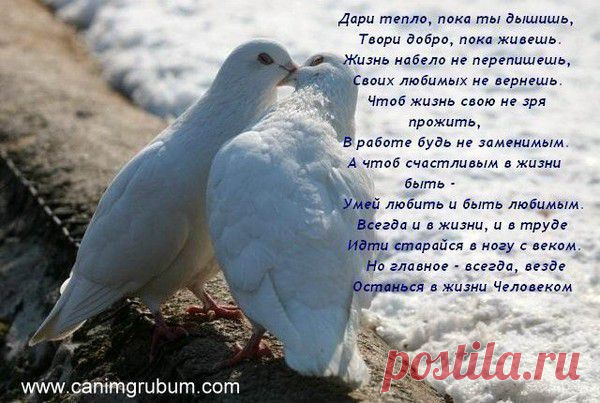 Дари тепло