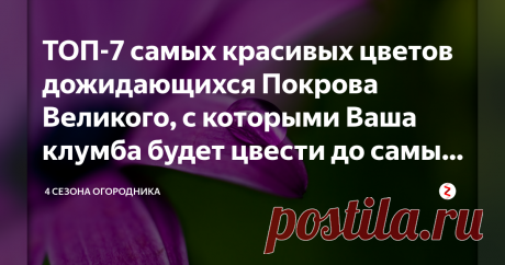 ТОП-7 самых красивых цветов дожидающихся Покрова Великого, с которыми Ваша клумба будет цвести до самых морозов Лучшим временем для садово-огородных участков, конечно, являются весна и лето. В начале осени большинство культур отдают урожай, основные цветы прекращают своё пышное цветение, а многолетники засыпают, скидывая листву. А ведь так хочется, чтобы сад радовал яркими красками до первого снега.
ТОП-7 самых красивых цветов, цветущих до  самых заморозков
Всем хозяйкам б...
