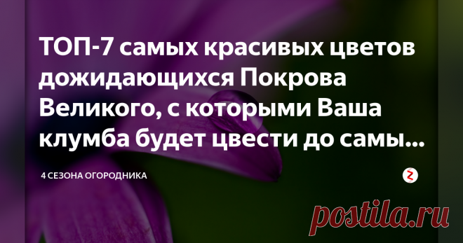 ТОП-7 самых красивых цветов дожидающихся Покрова Великого, с которыми Ваша клумба будет цвести до самых морозов Лучшим временем для садово-огородных участков, конечно, являются весна и лето. В начале осени большинство культур отдают урожай, основные цветы прекращают своё пышное цветение, а многолетники засыпают, скидывая листву. А ведь так хочется, чтобы сад радовал яркими красками до первого снега.
ТОП-7 самых красивых цветов, цветущих до  самых заморозков
Всем хозяйкам б...