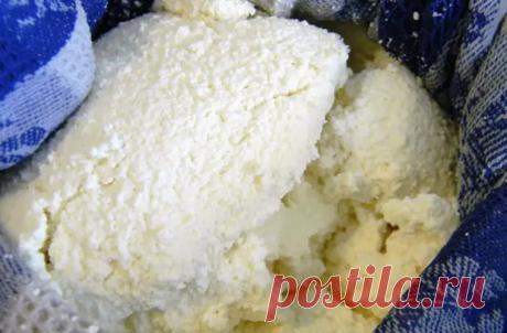 Взяли 2 литра молока и сделали 5 видов сыра - Steak Lovers - Медиаплатформа МирТесен