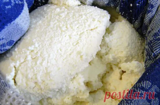 Взяли 2 литра молока и сделали 5 видов сыра - Steak Lovers - Медиаплатформа МирТесен