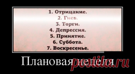 Плановая неделя