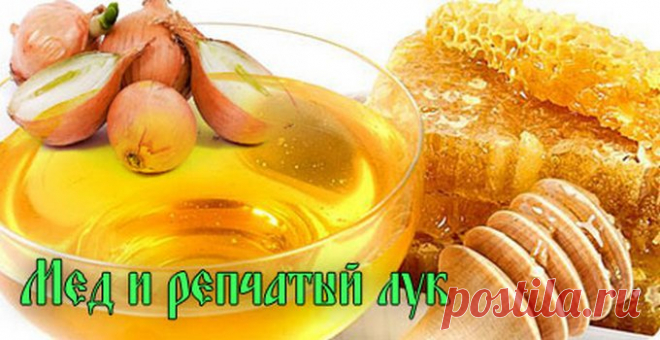 Методики очищения сосудов головного мозга