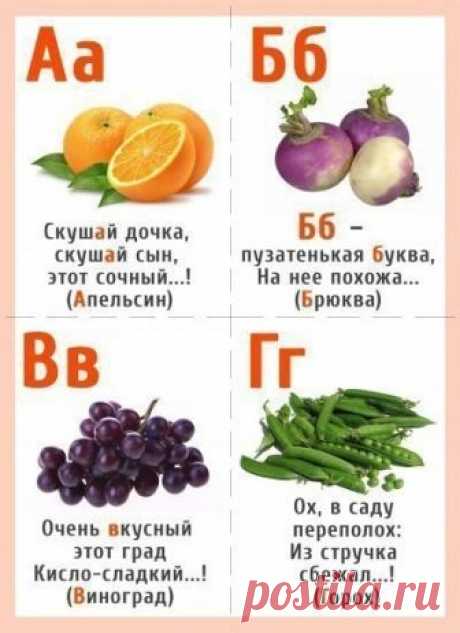 РАСТИТЕЛЬНАЯ АЗБУКА