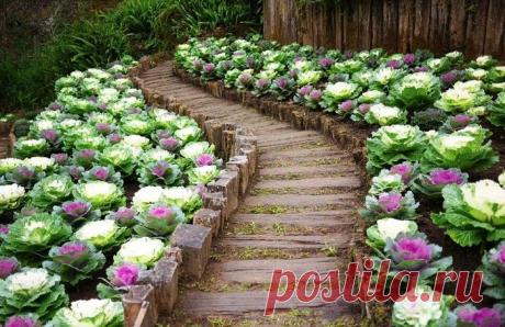 Примеры великолепного оформления садового участка своими руками